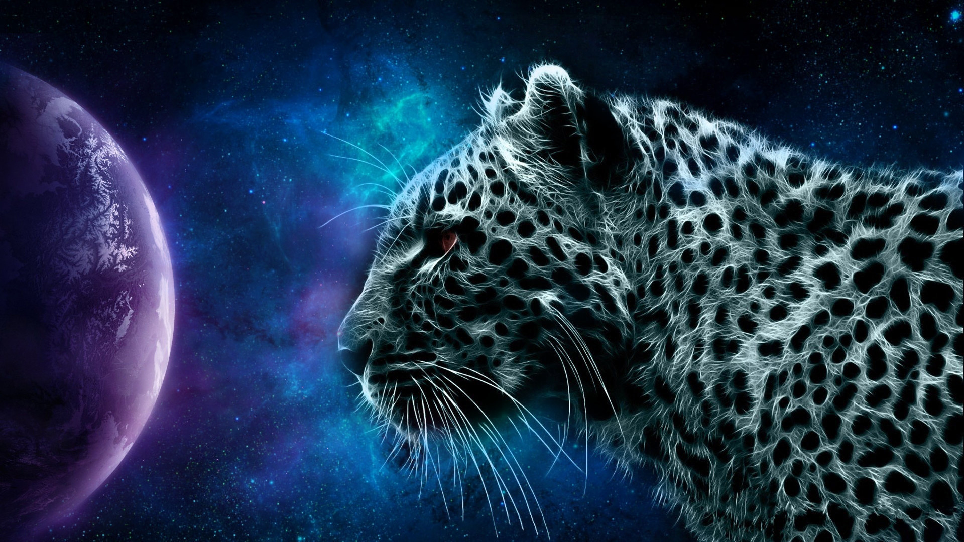 343424 descargar imagen guepardo, animales, gatos: fondos de pantalla y protectores de pantalla gratis
