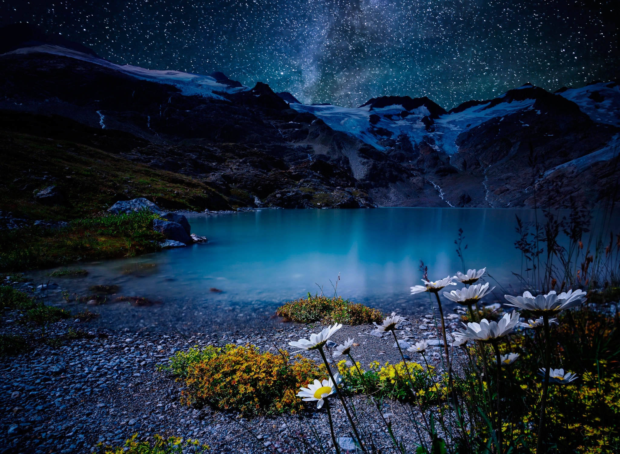 white flower, nature, earth, night, lake, stars iphone wallpaper