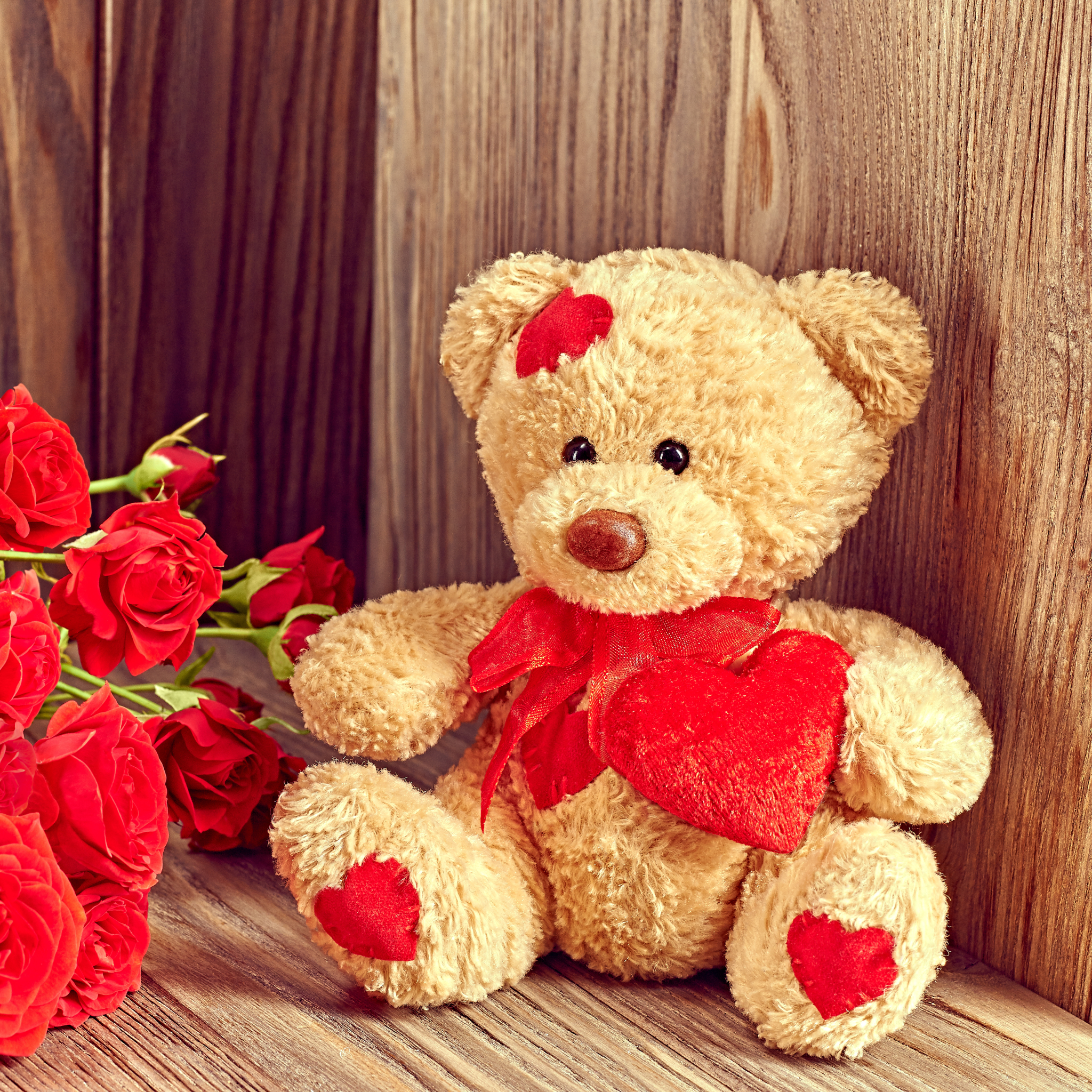 Download Teddy Bear In A Red Basket Wallpaper | Wallpapers.com