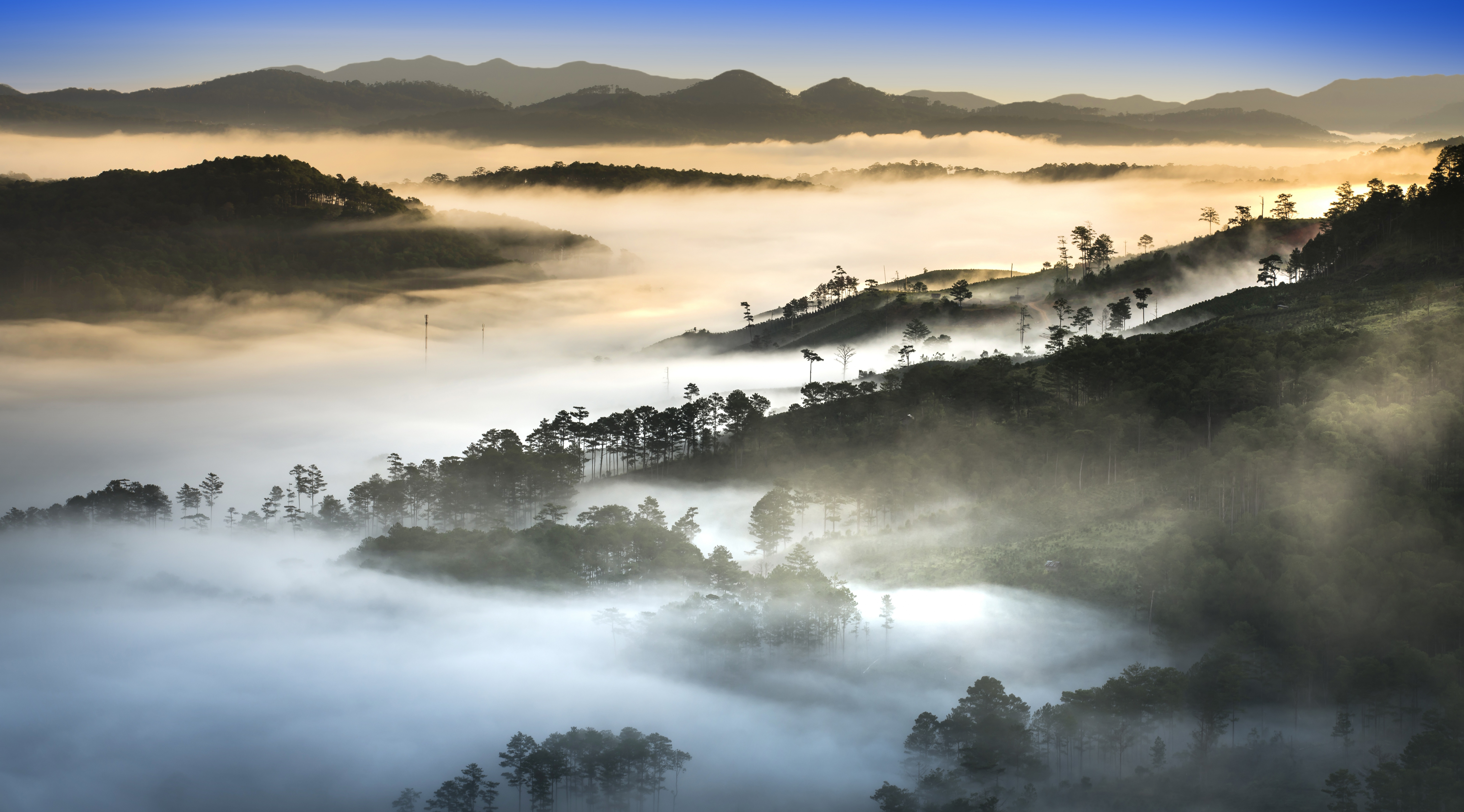 909351 baixar papel de parede terra/natureza, neblina, floresta, vietname - protetores de tela e imagens gratuitamente