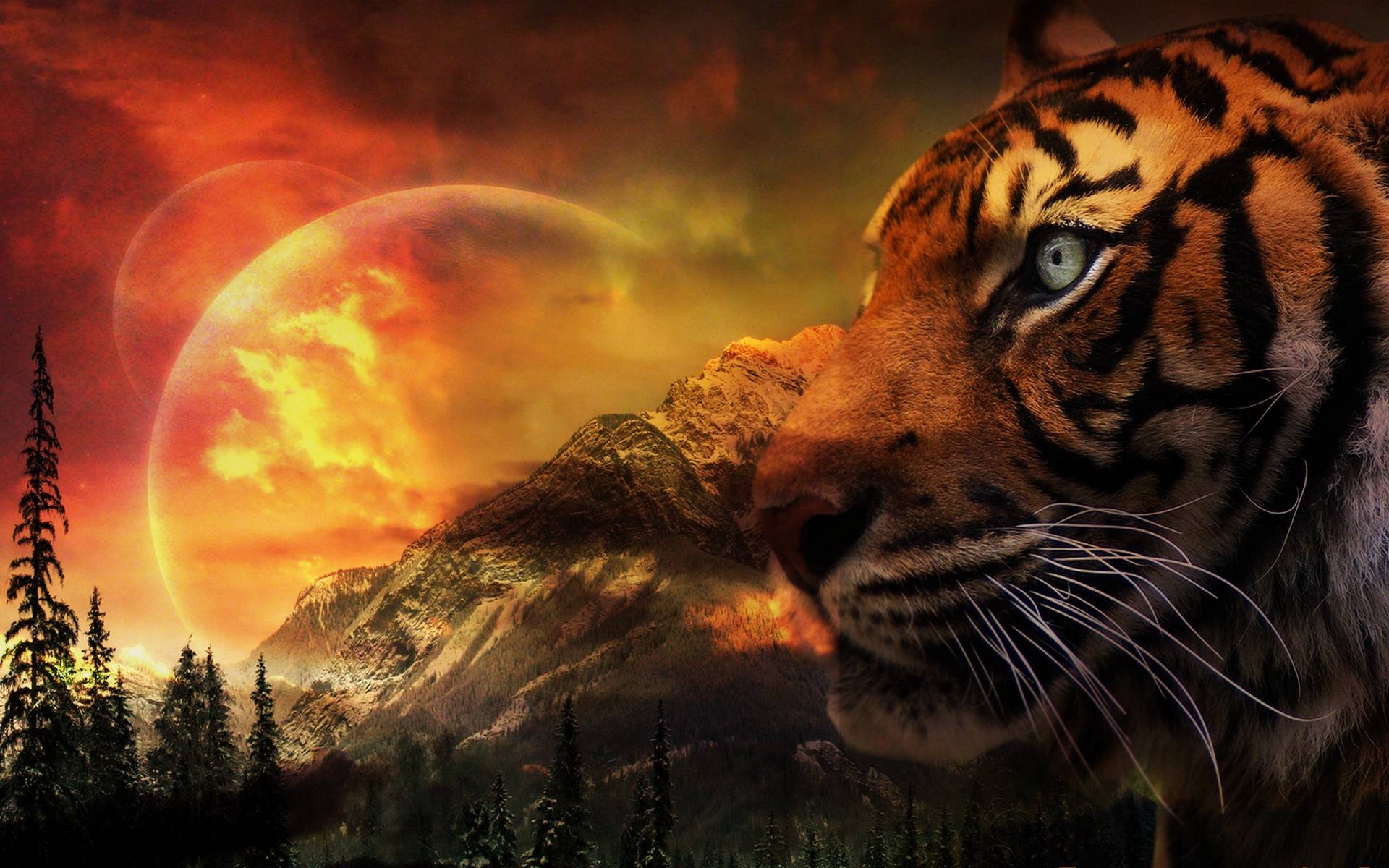 Тигр на фоне гор