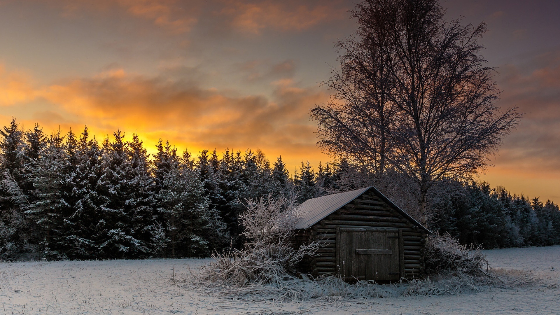 Карелия зимой красивые фото природы