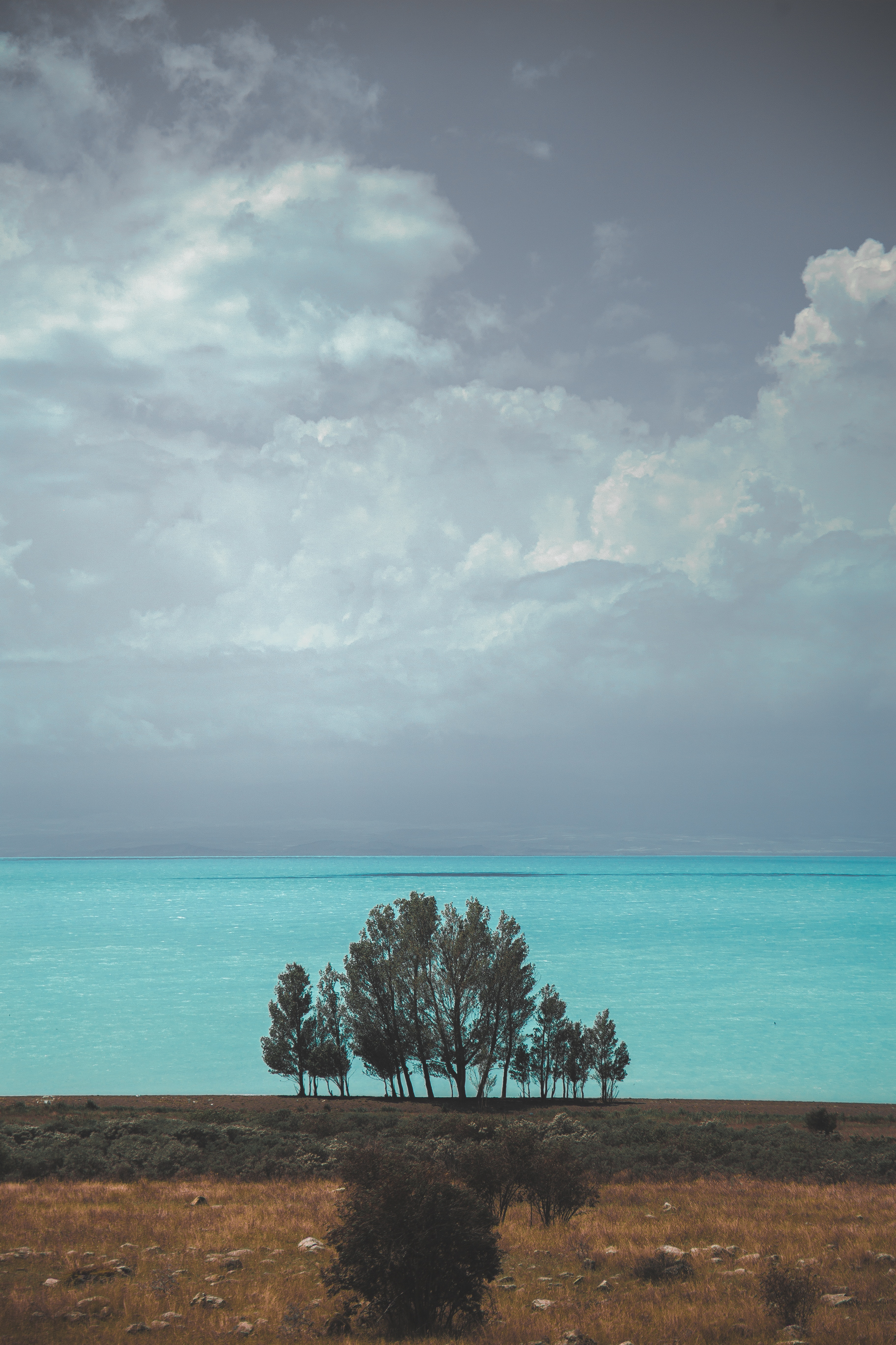 139020 Hintergrundbild herunterladen natur, bäume, sea, clouds, horizont, armenien - Bildschirmschoner und Bilder kostenlos