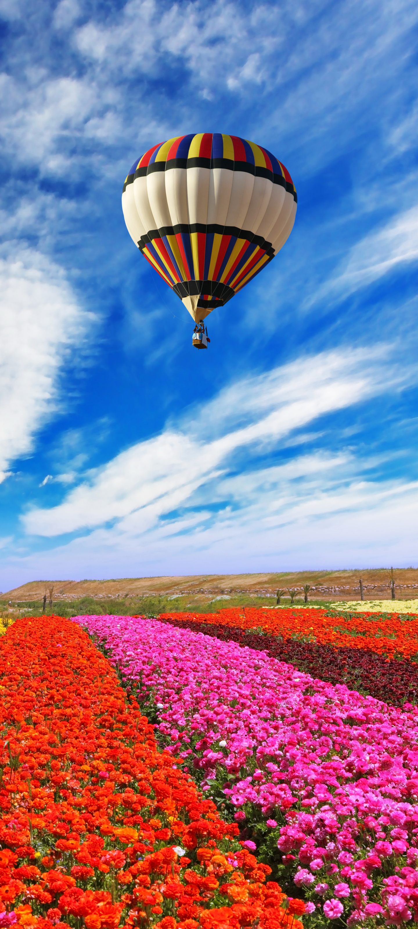 Download mobile wallpaper Sky, Flower, Field, Cloud, Yellow Flower, Red Flower, Vehicles, Pink Flower, Hot Air Balloon for free.
