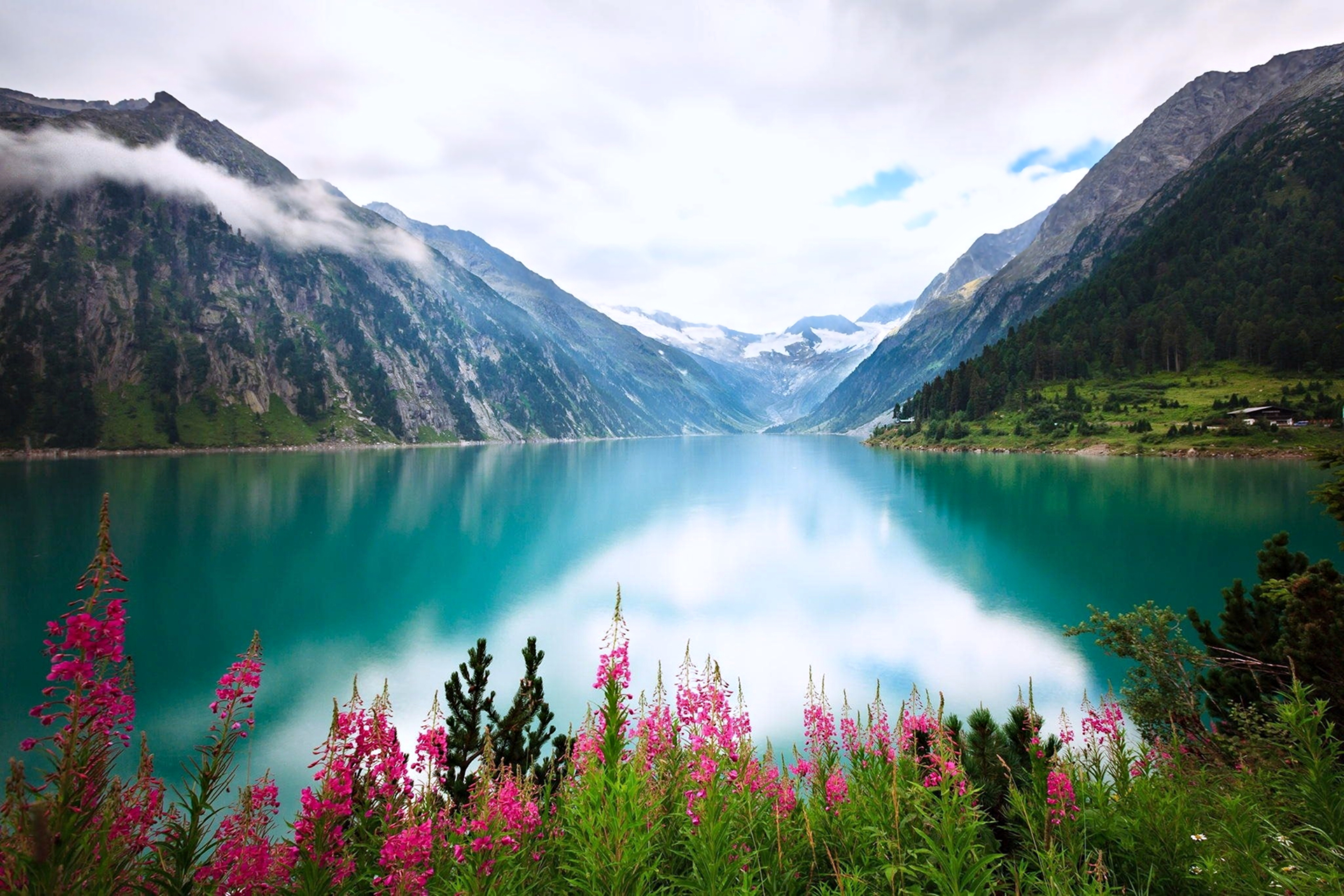 Пейзаж Швейцарии цветы озеро