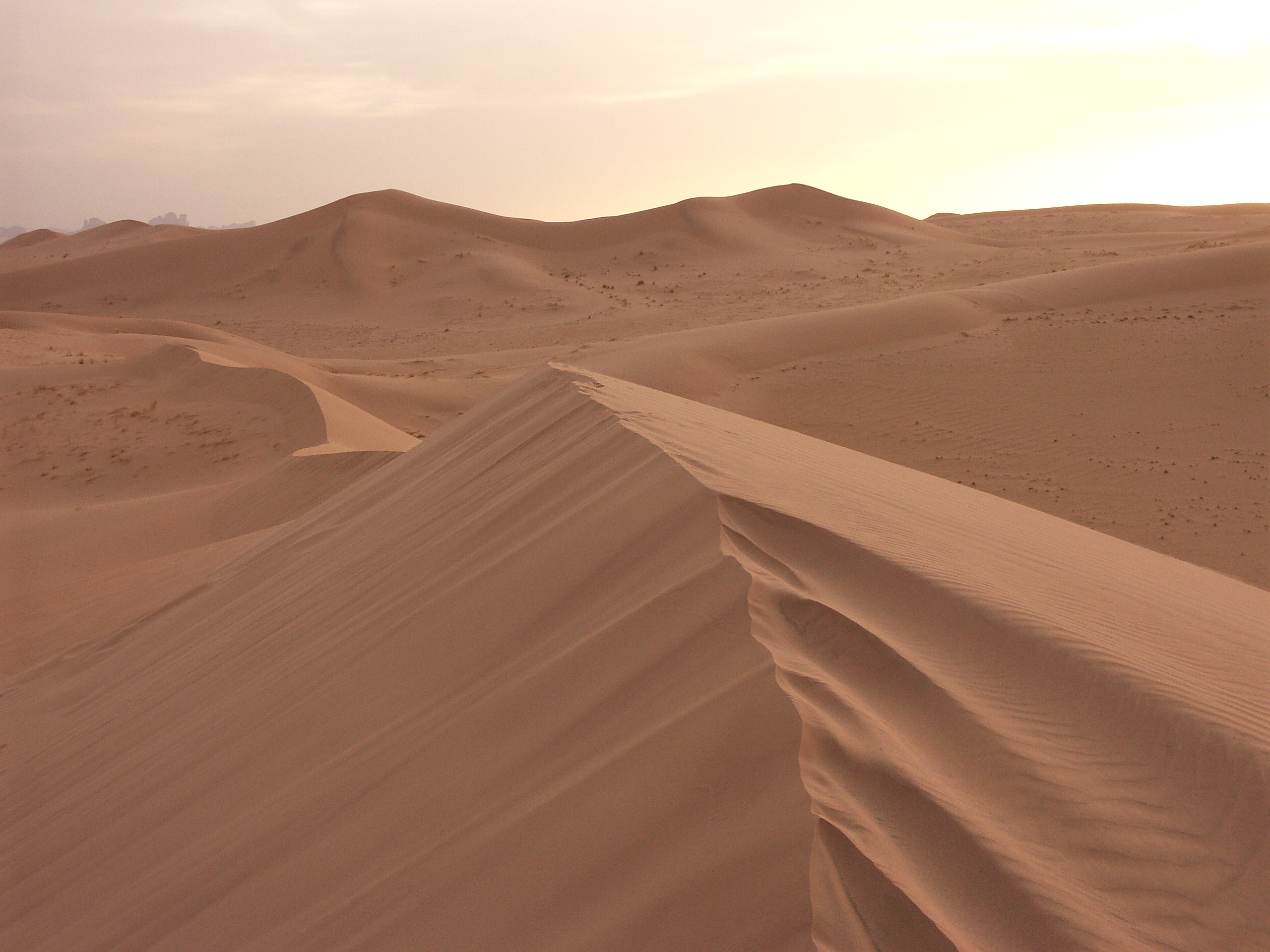 Download mobile wallpaper Landscape, Sand, Desert, Earth, Dune, Sahara, Africa, Algeria for free.