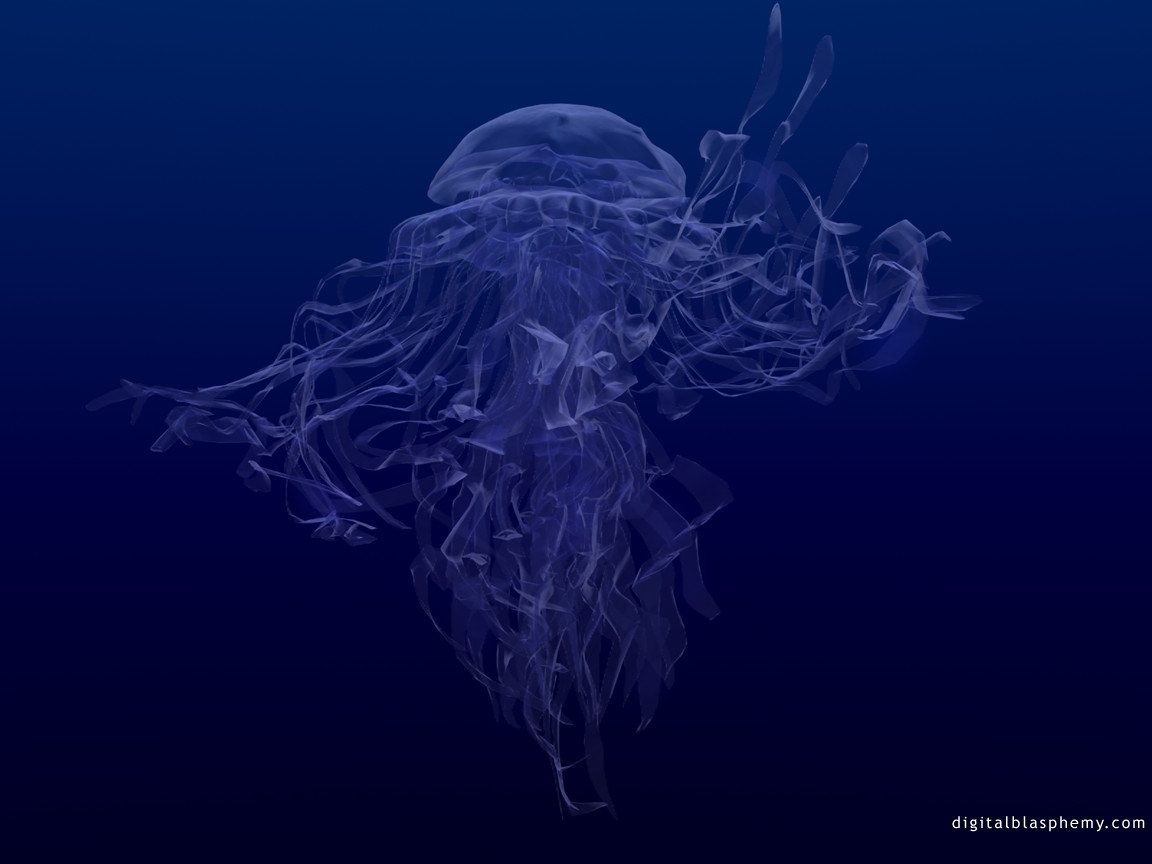 Descarga gratuita de fondo de pantalla para móvil de Mar, Medusa, Animales.