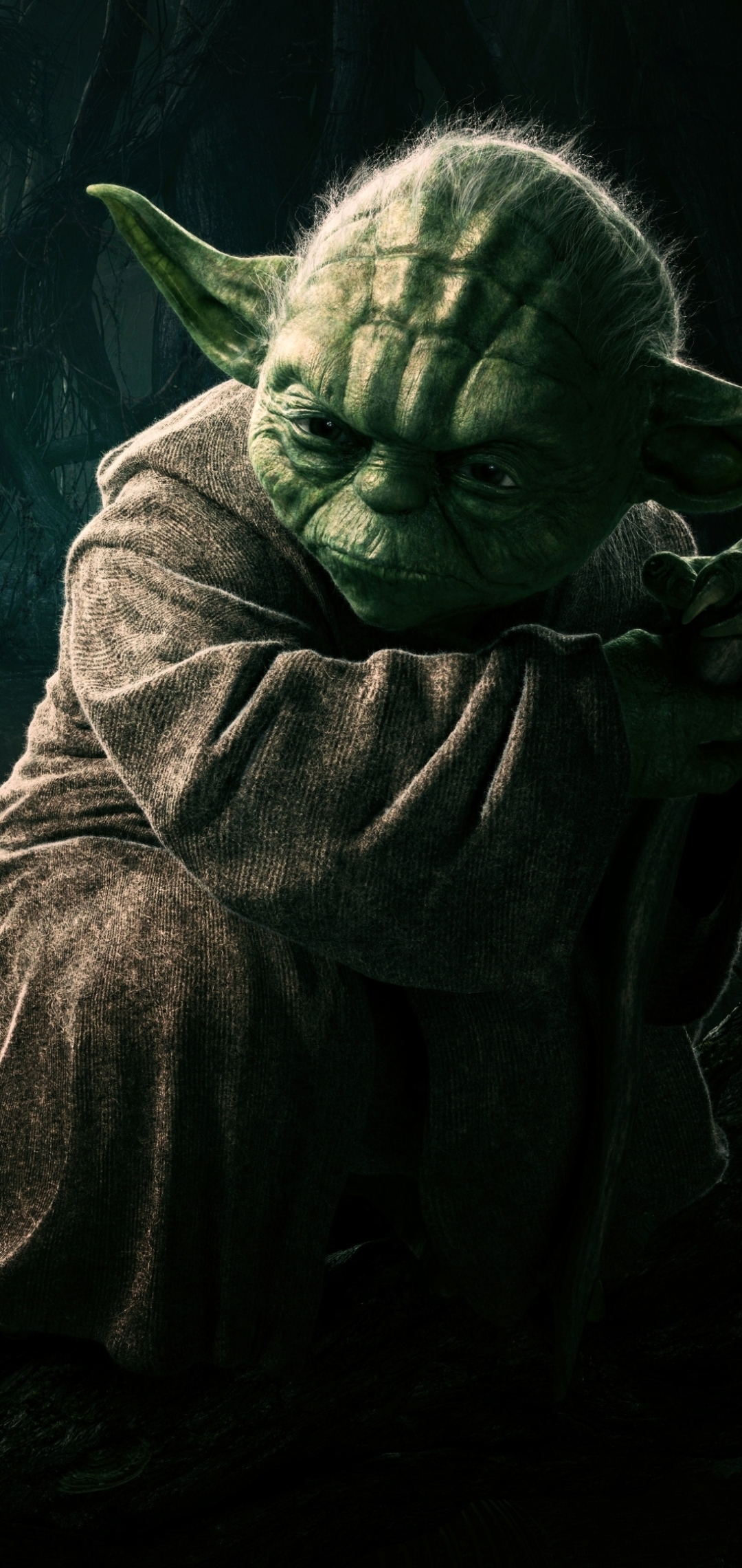 Download mobile wallpaper Star Wars, Sci Fi, Pointed Ears, Yoda, Jedi for free.