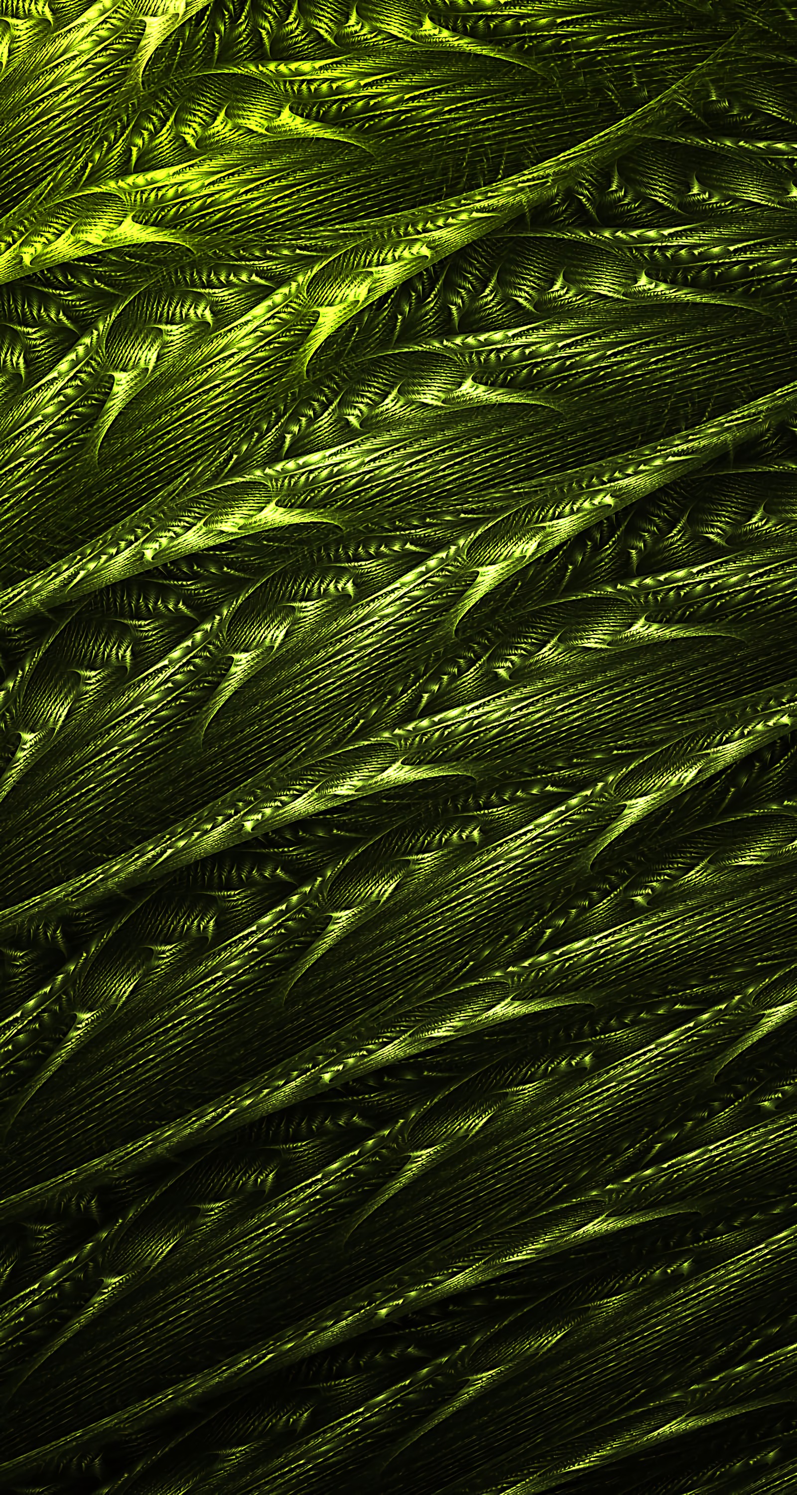 fractal, confused, abstract, green, structure, intricate HD wallpaper
