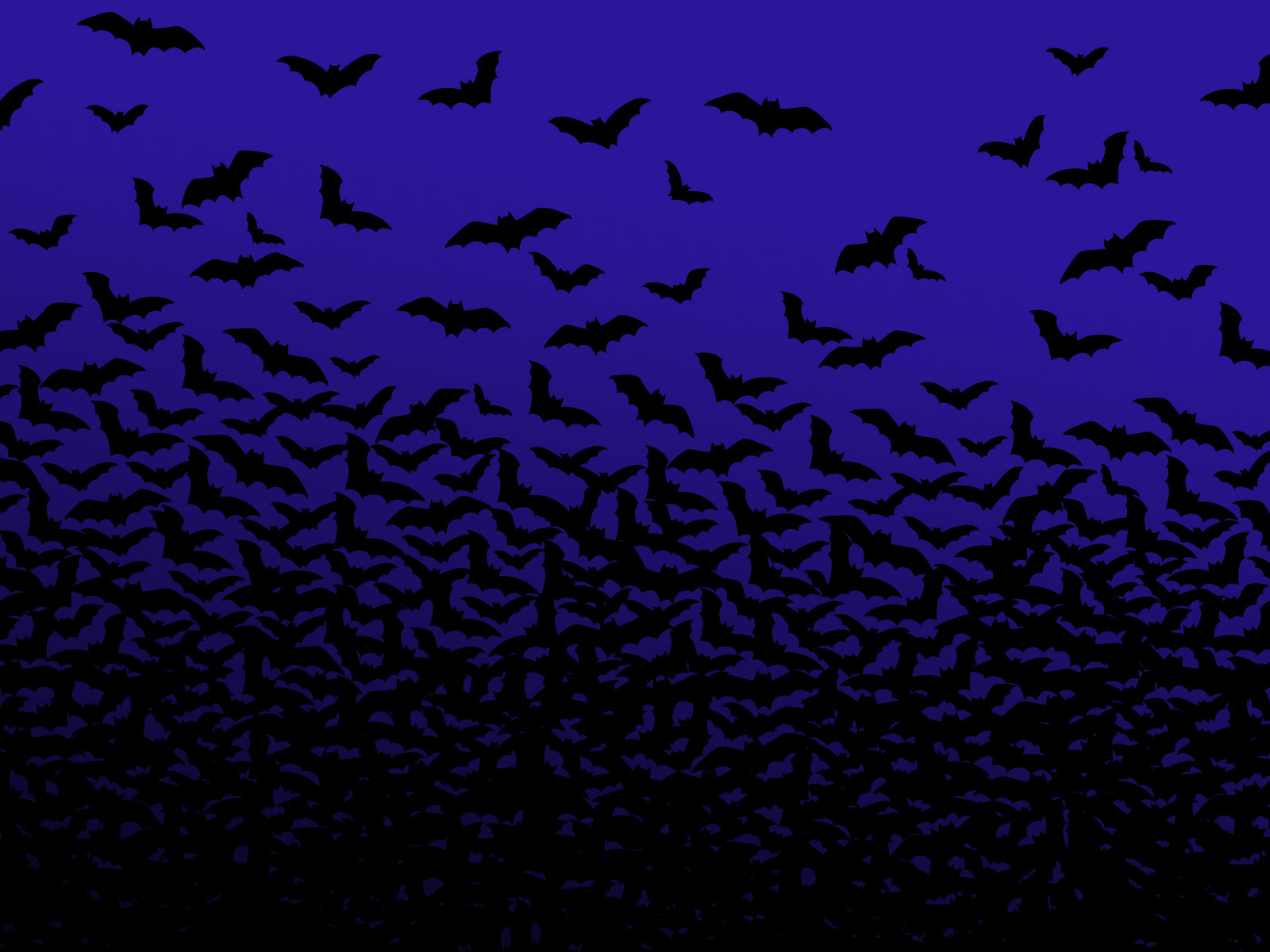 bat, animal, birds HD wallpaper