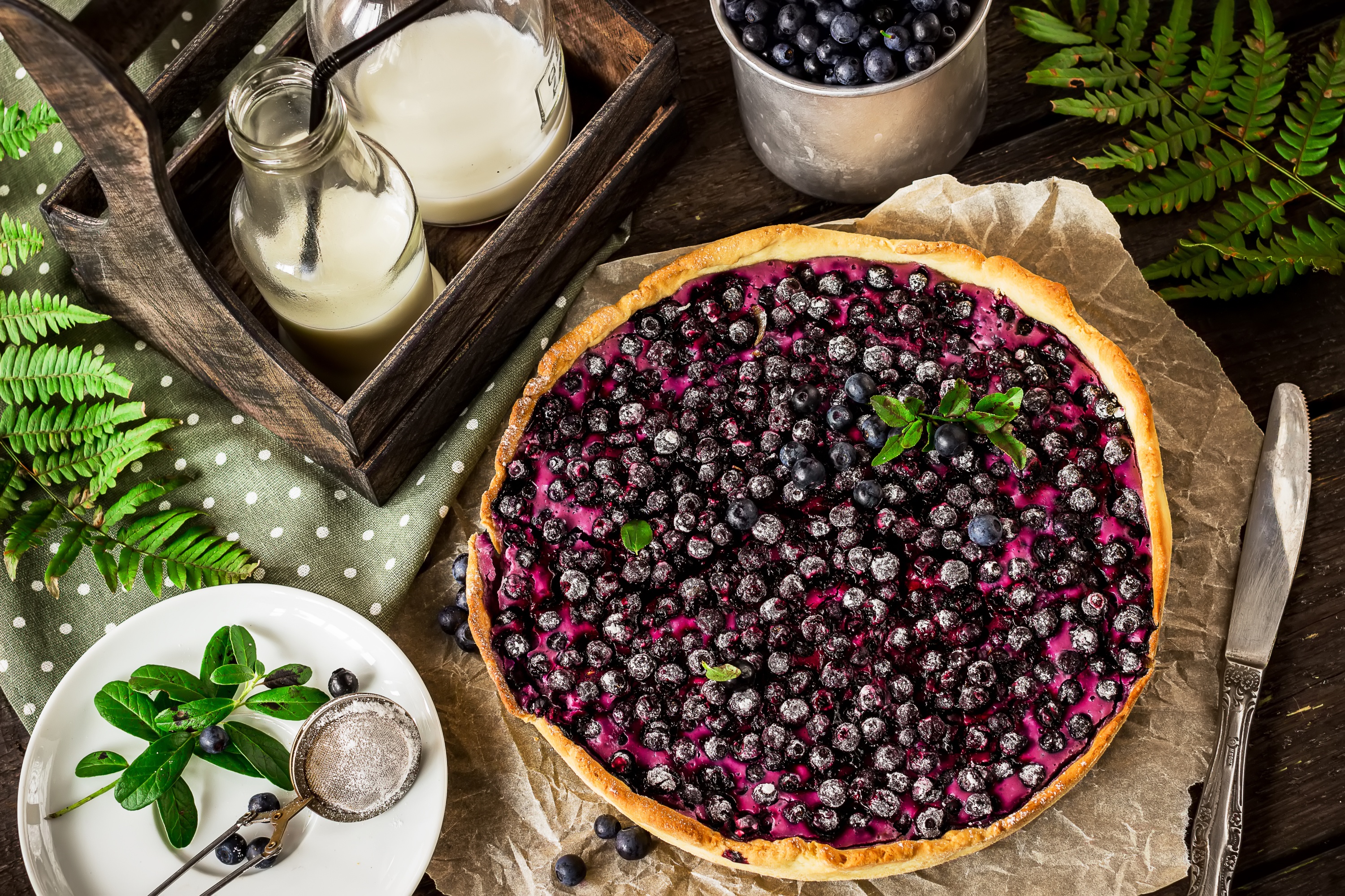 Free download wallpaper Food, Blueberry, Still Life, Berry, Fruit, Pie, Pastry on your PC desktop