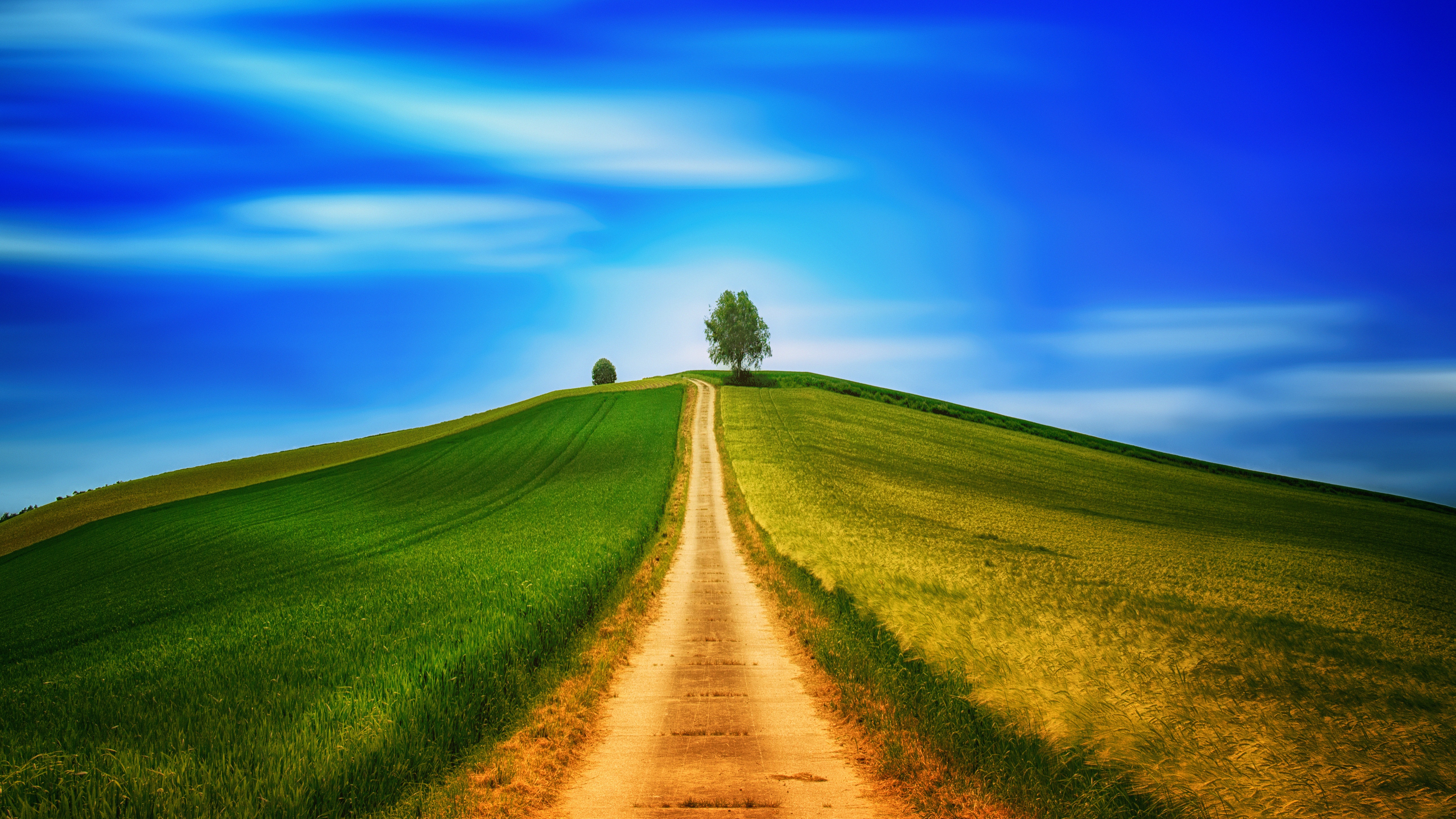 field, nature, summer, grass, sky, road, hill Free Stock Photo