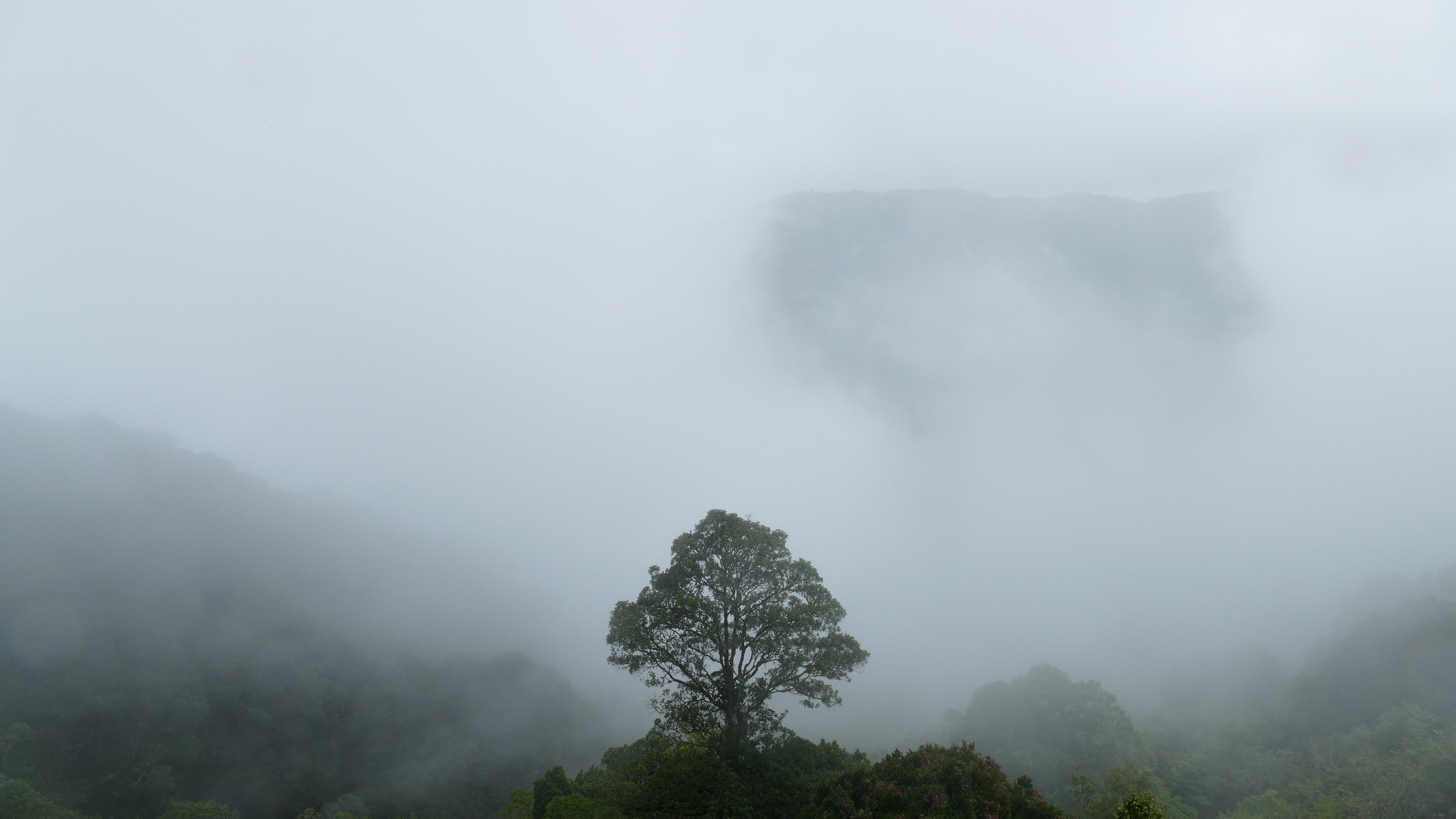 Horizontal Wallpaper jungle, earth, cloud, costa rica, national park