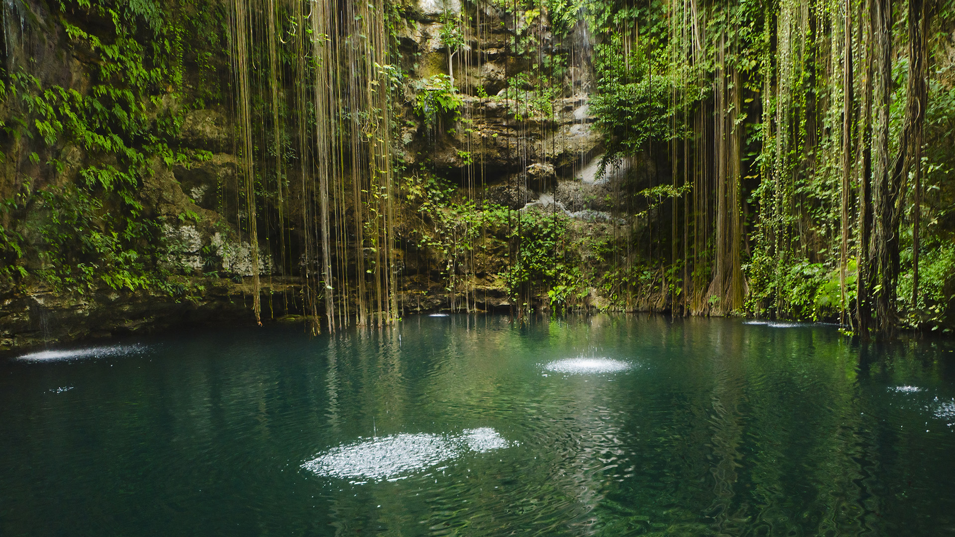 311184 Bild herunterladen erde/natur, see, cenote, mexiko, yucatan, seen - Hintergrundbilder und Bildschirmschoner kostenlos