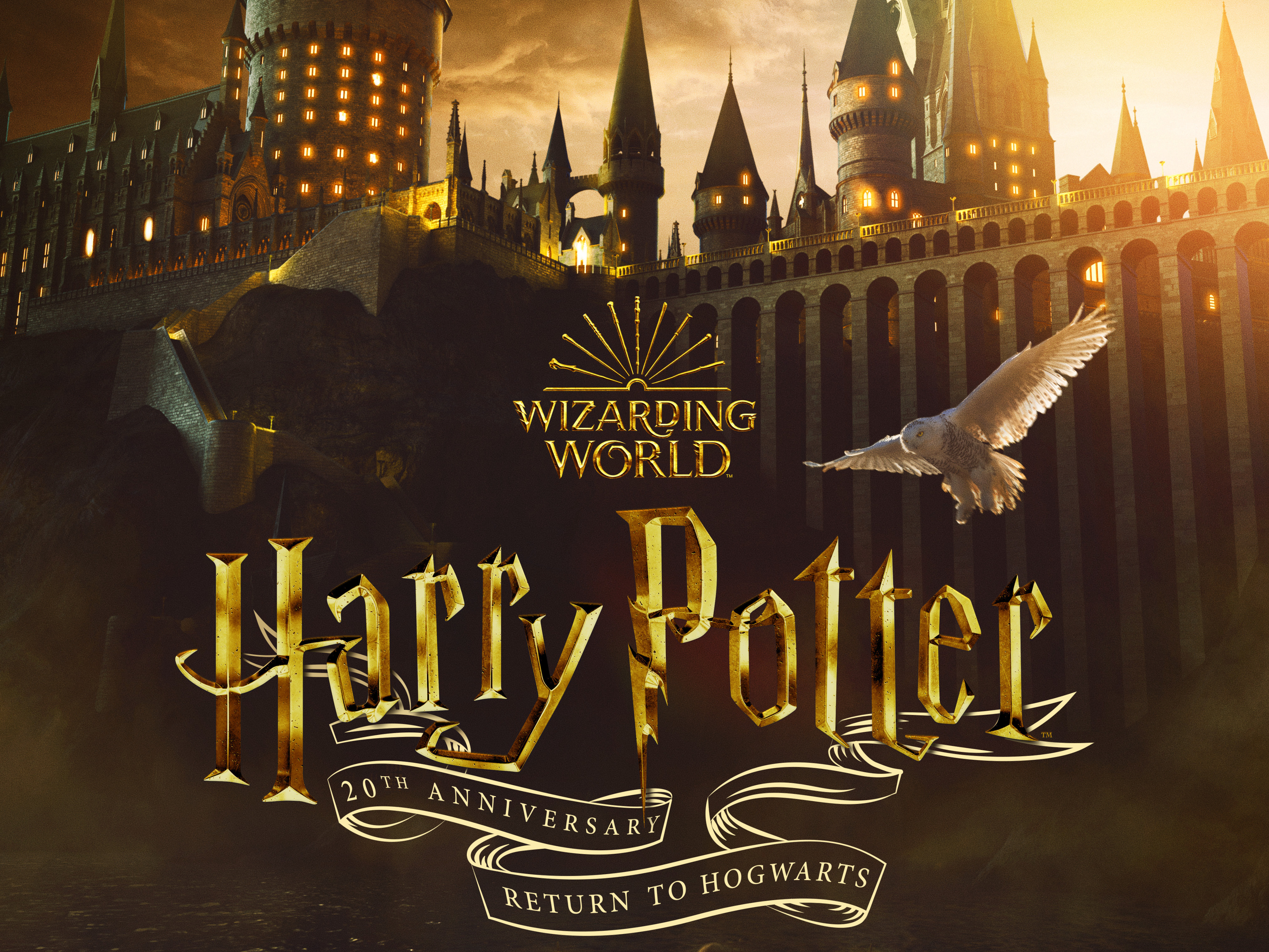 Гарри Поттер 20 лет спустя: Возвращение в Хогвартс фильм 2022