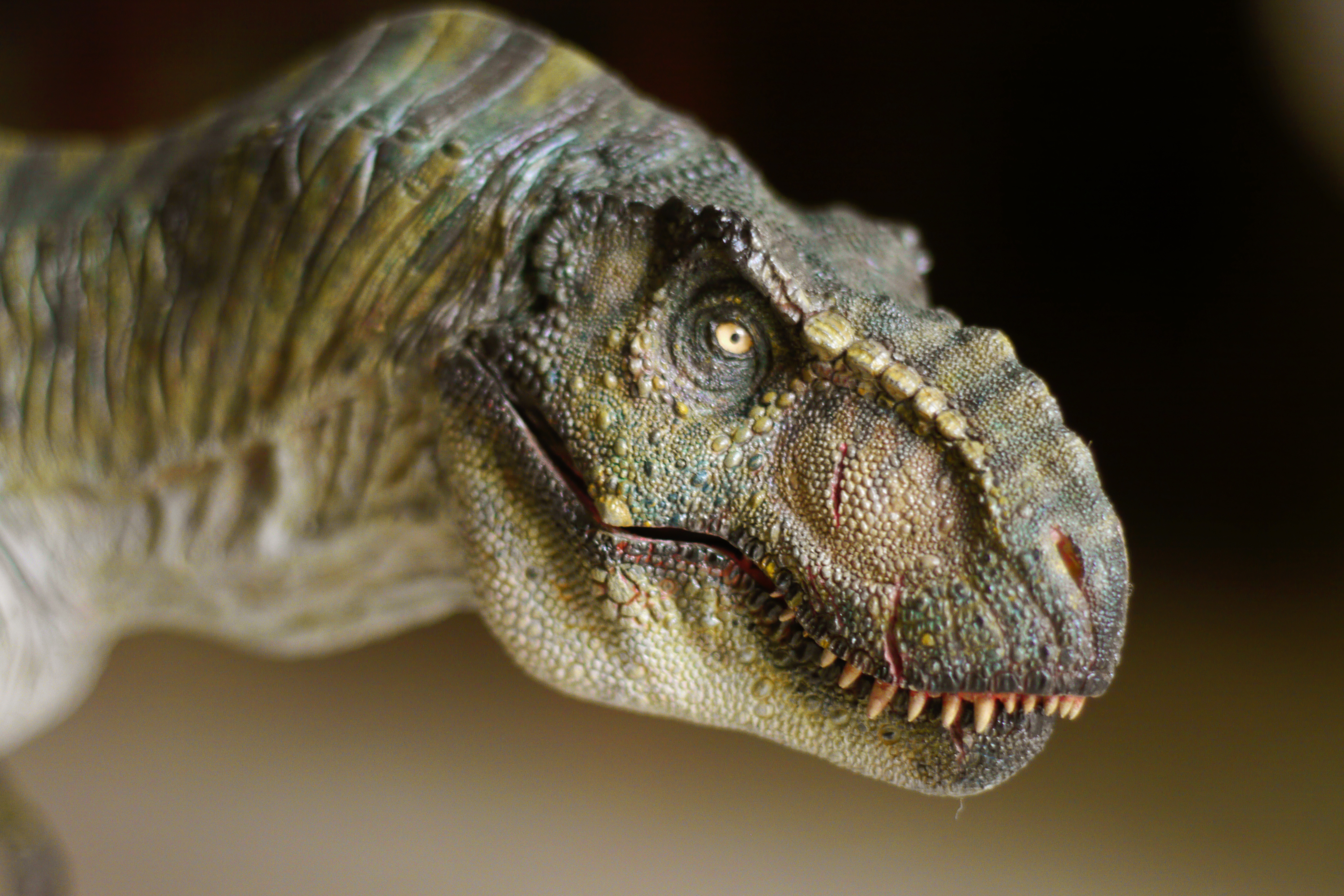 Тираннозавр рекс картинки