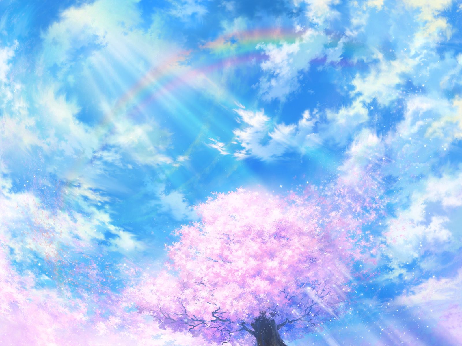 sakura, bright, abstract, sky, shine, light, wood, tree Full HD