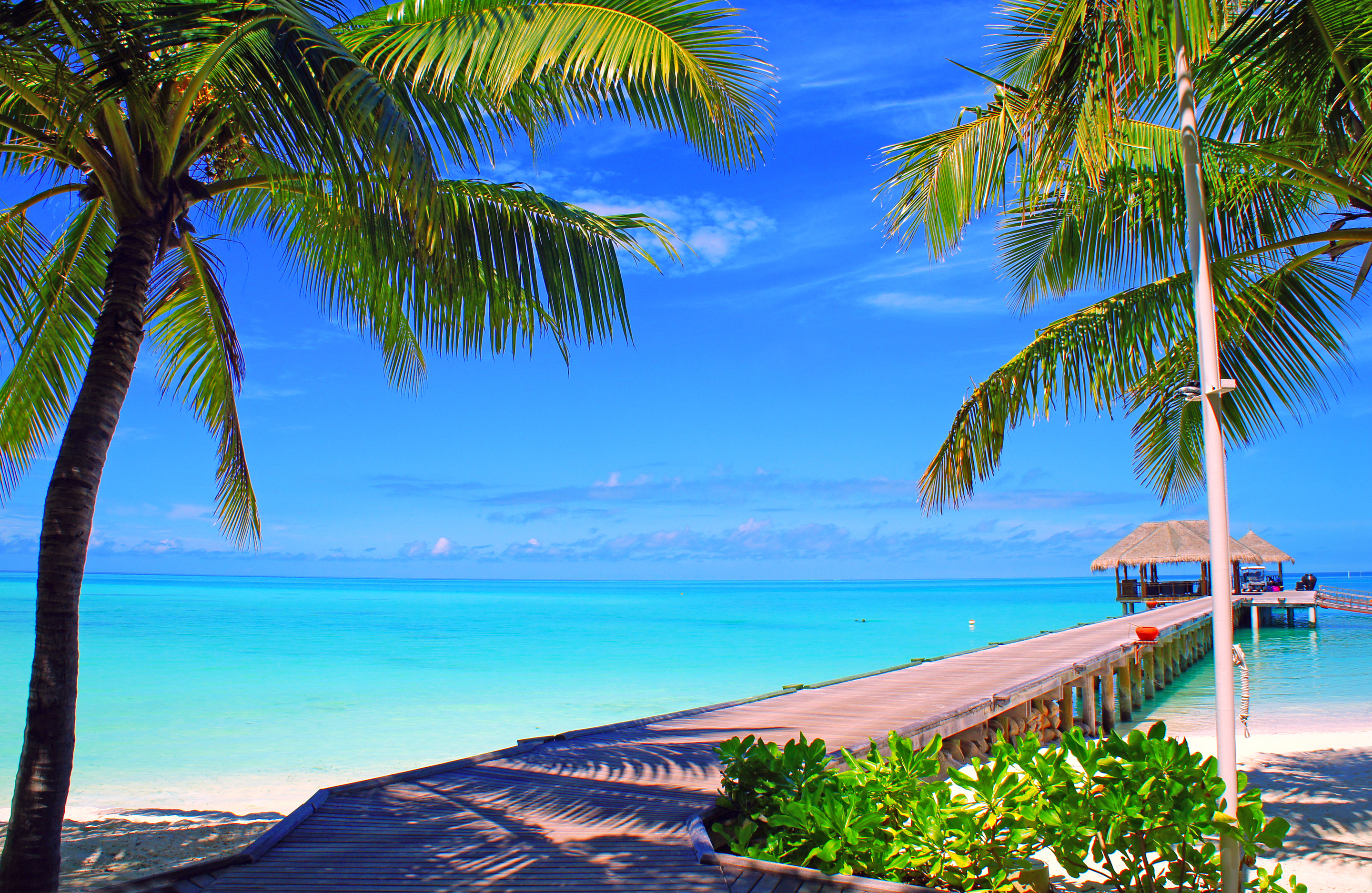 Free HD bungalow, nature, sky, sea, clouds, palms, ocean, island, maldives