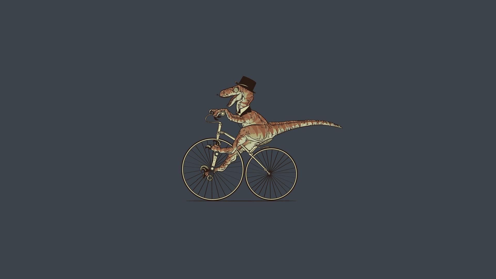 Cool Wallpapers vector, bicycle, crocodile, trip