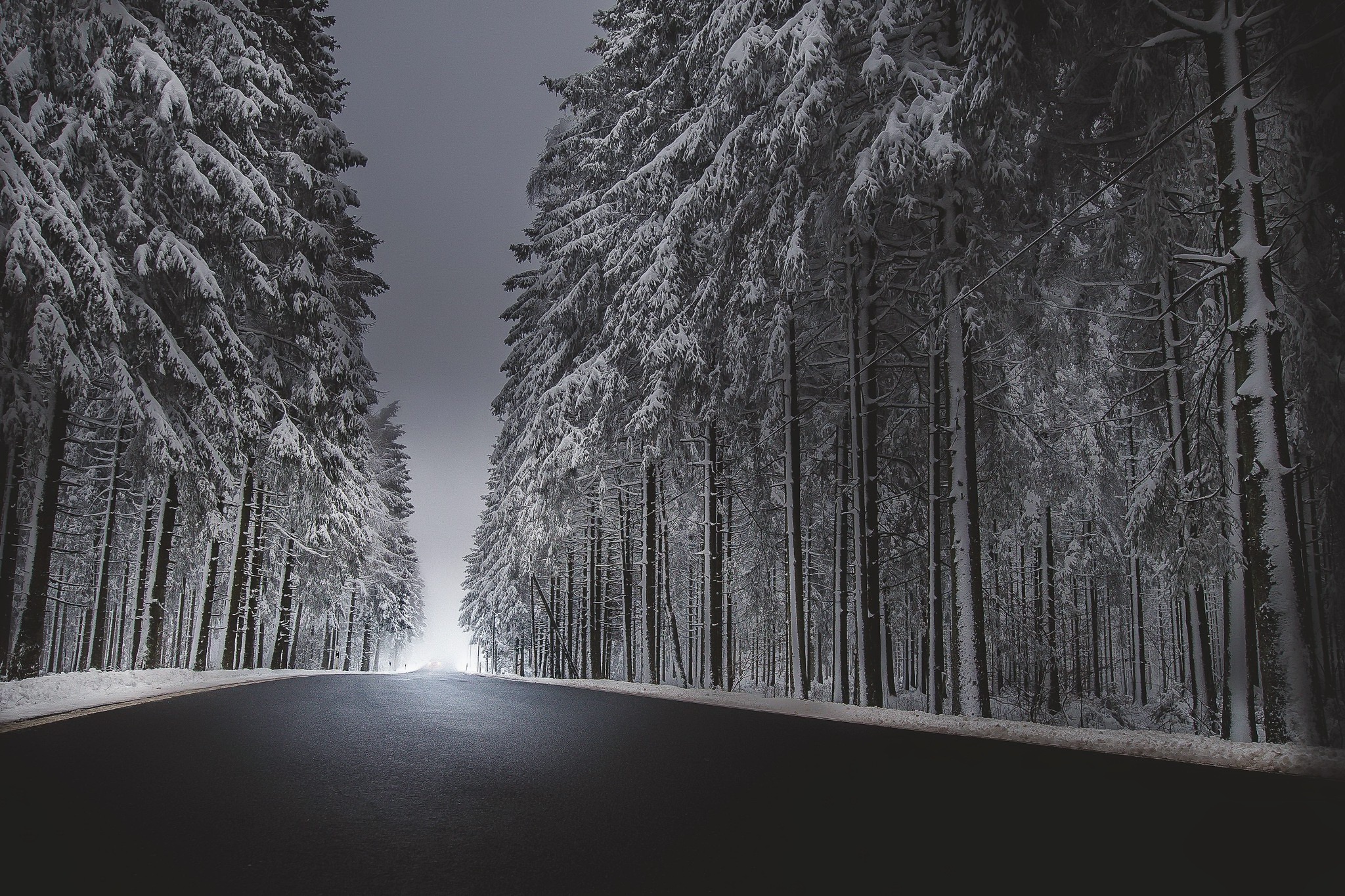 Снежная дорога в лесу