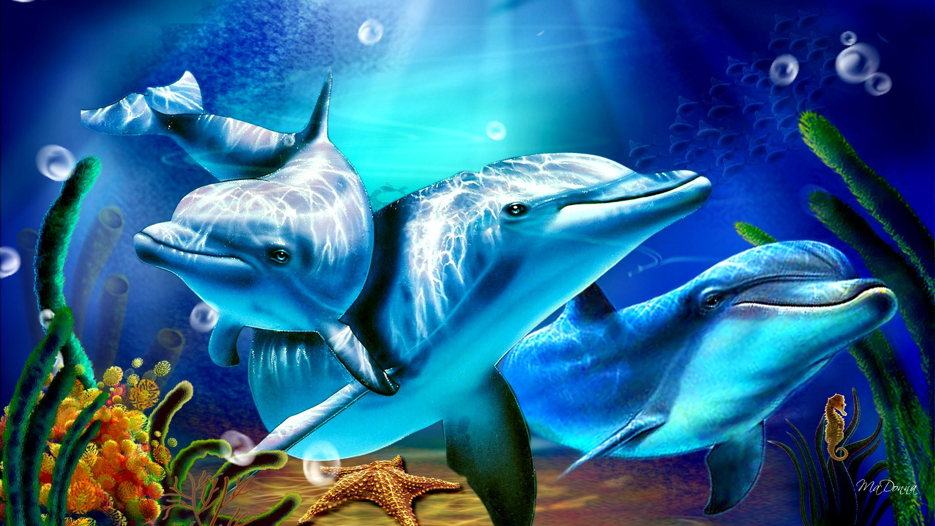 736918 Bild herunterladen tiere, delfin, seifenblase, seepferdchen, seestern - Hintergrundbilder und Bildschirmschoner kostenlos