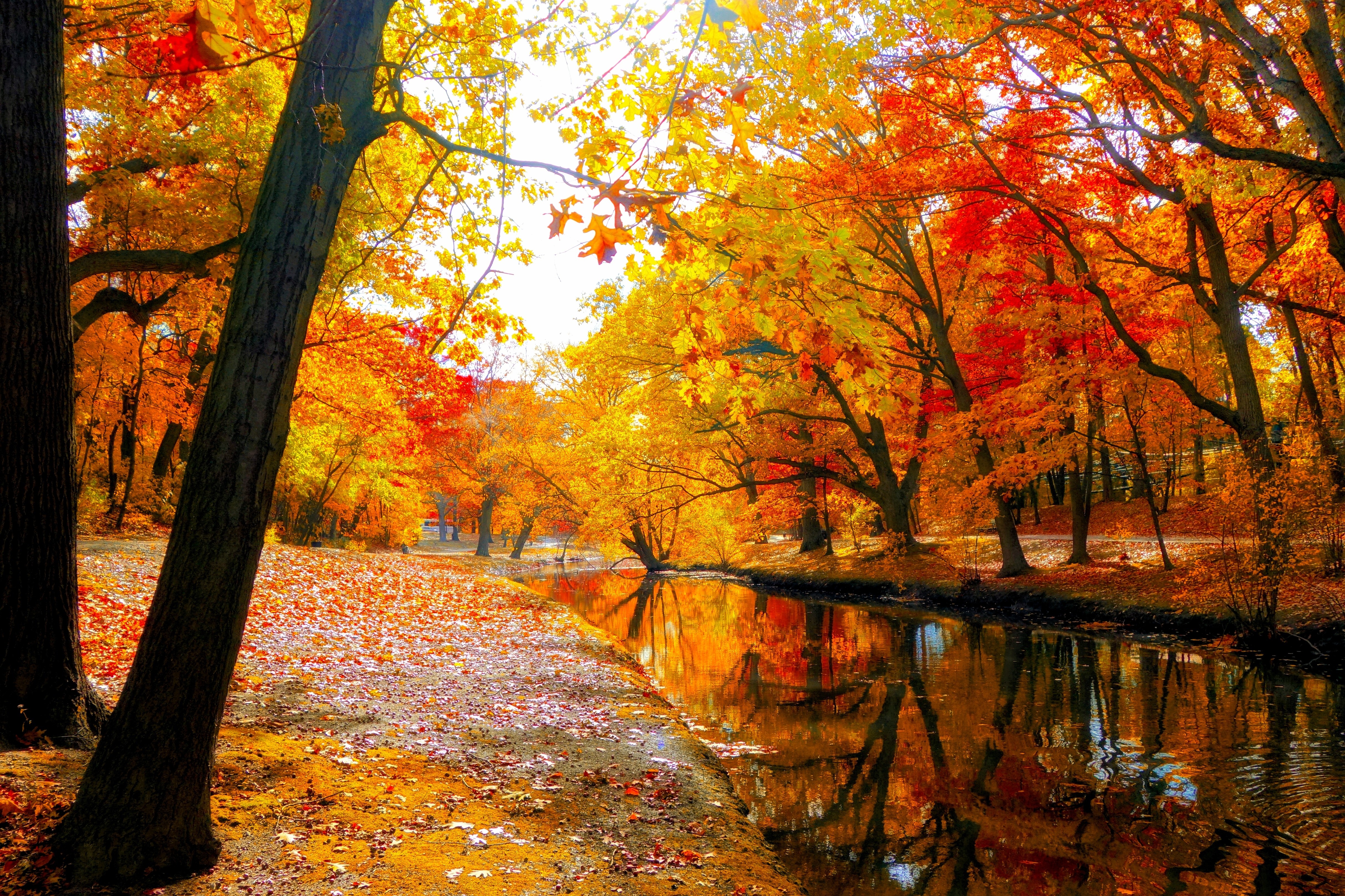 Осенние пейзажи осени
