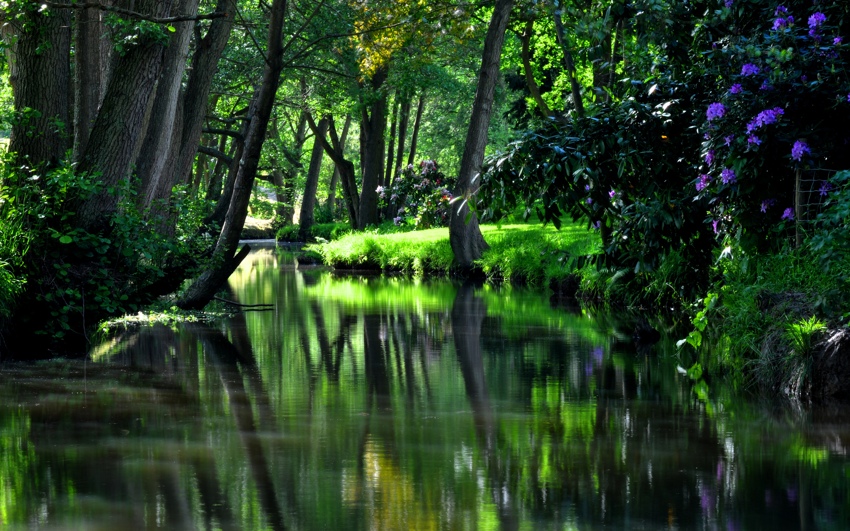 Download mobile wallpaper Rivers, Trees, Landscape for free.