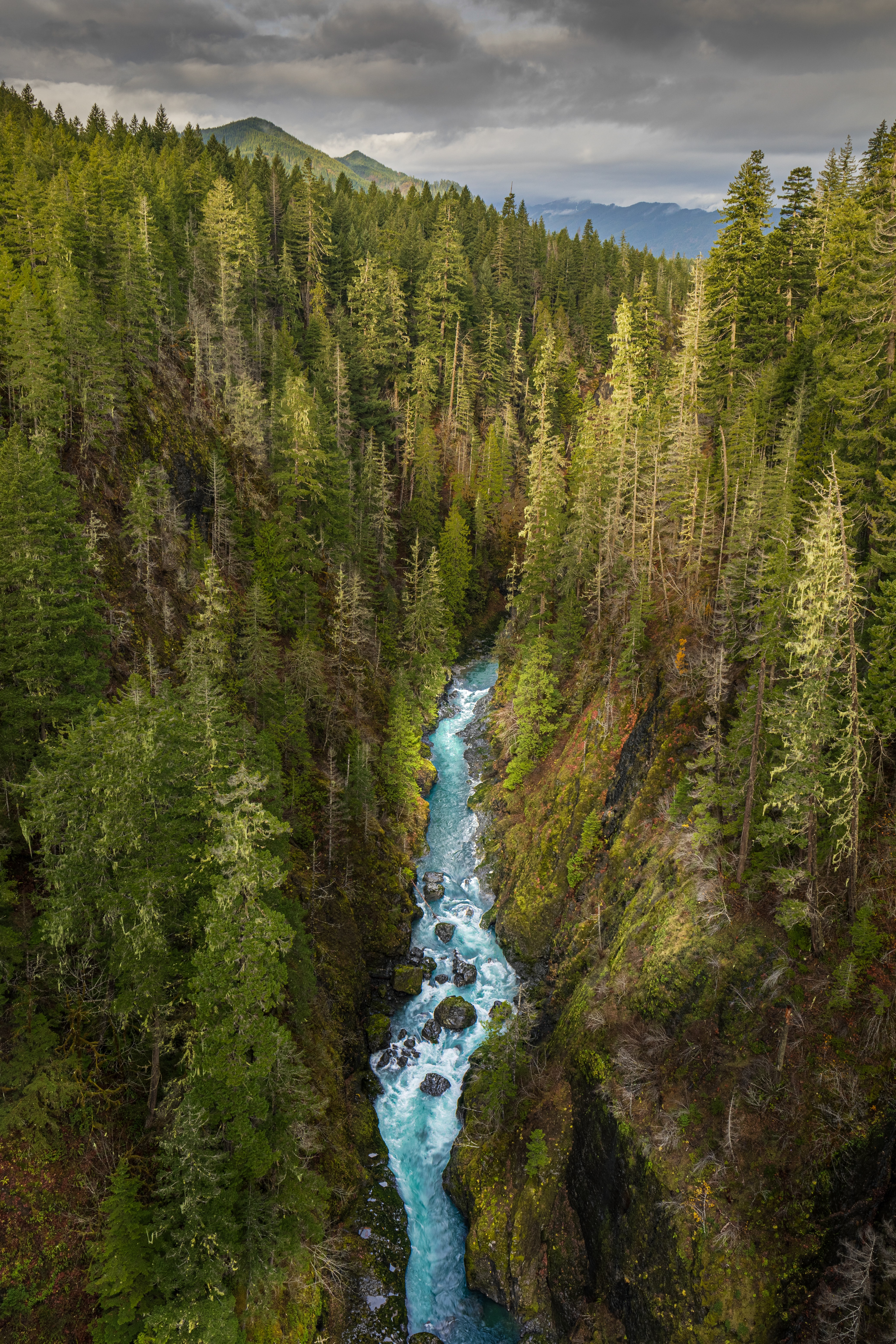 forest, nature, rivers, view from above, gorge wallpapers for tablet