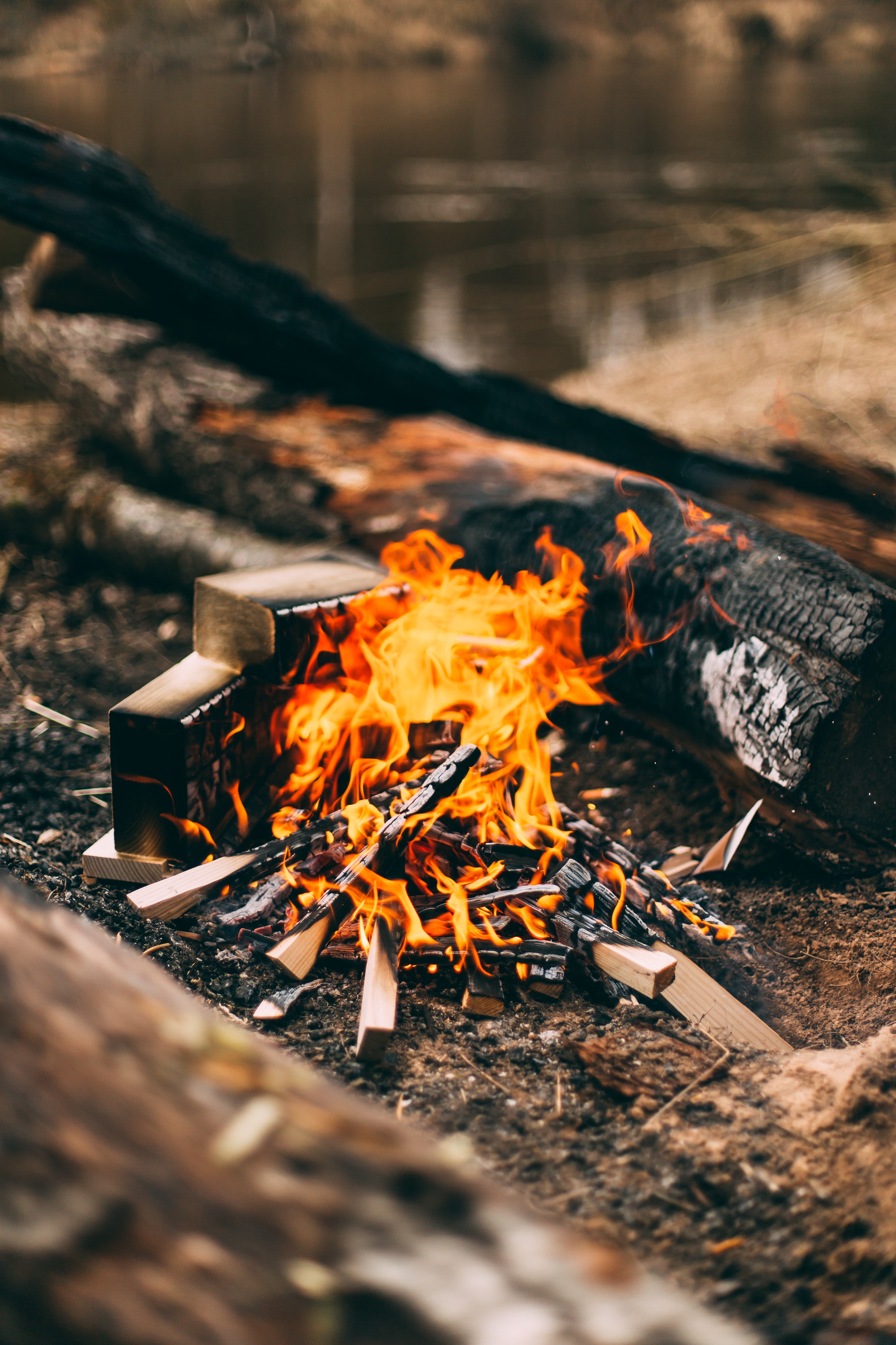 bonfire, firewood, fire, miscellanea, miscellaneous, camping, campsite 8K