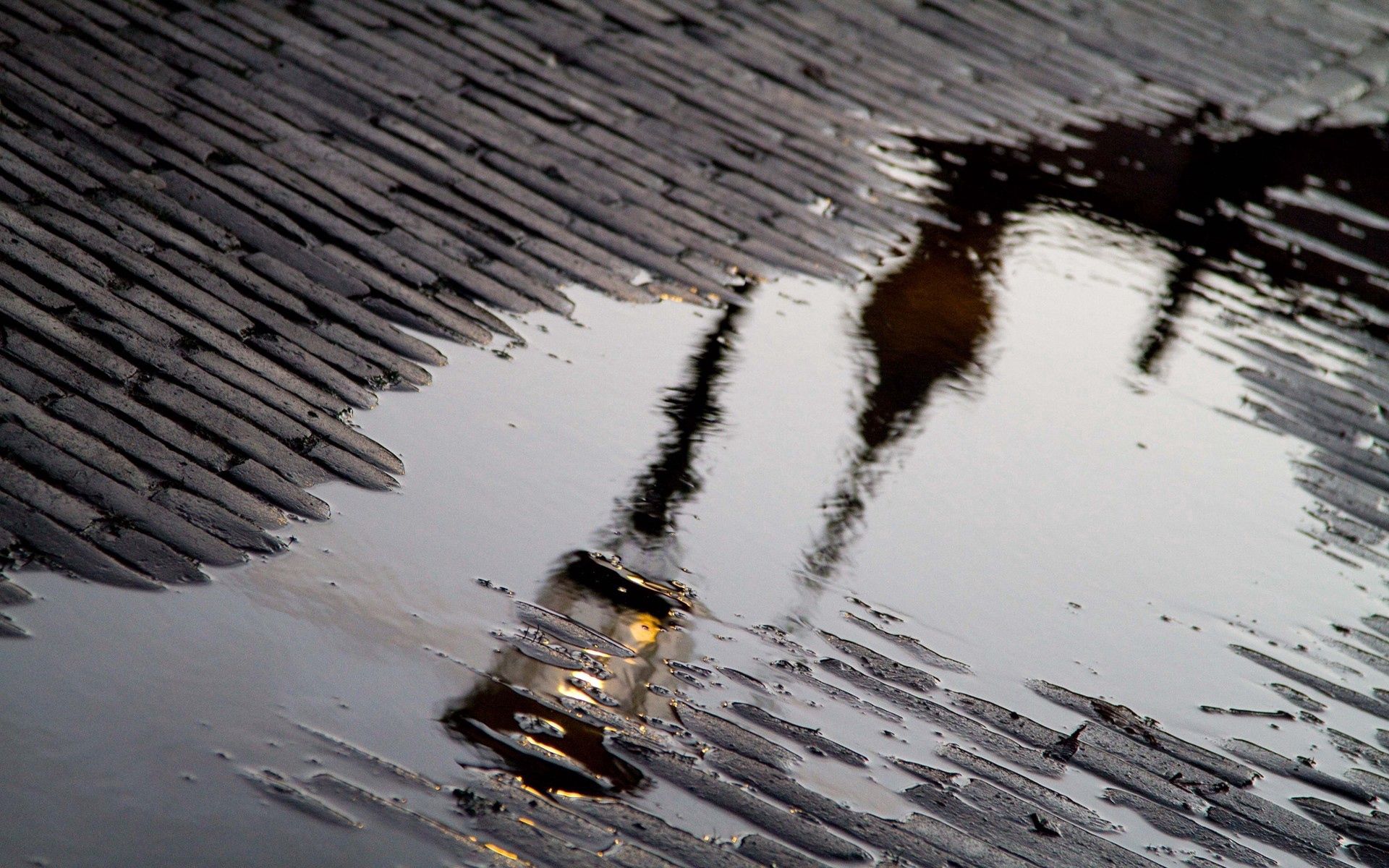 nature, reflection, lamp, lantern, puddle, after the rain, sidewalk