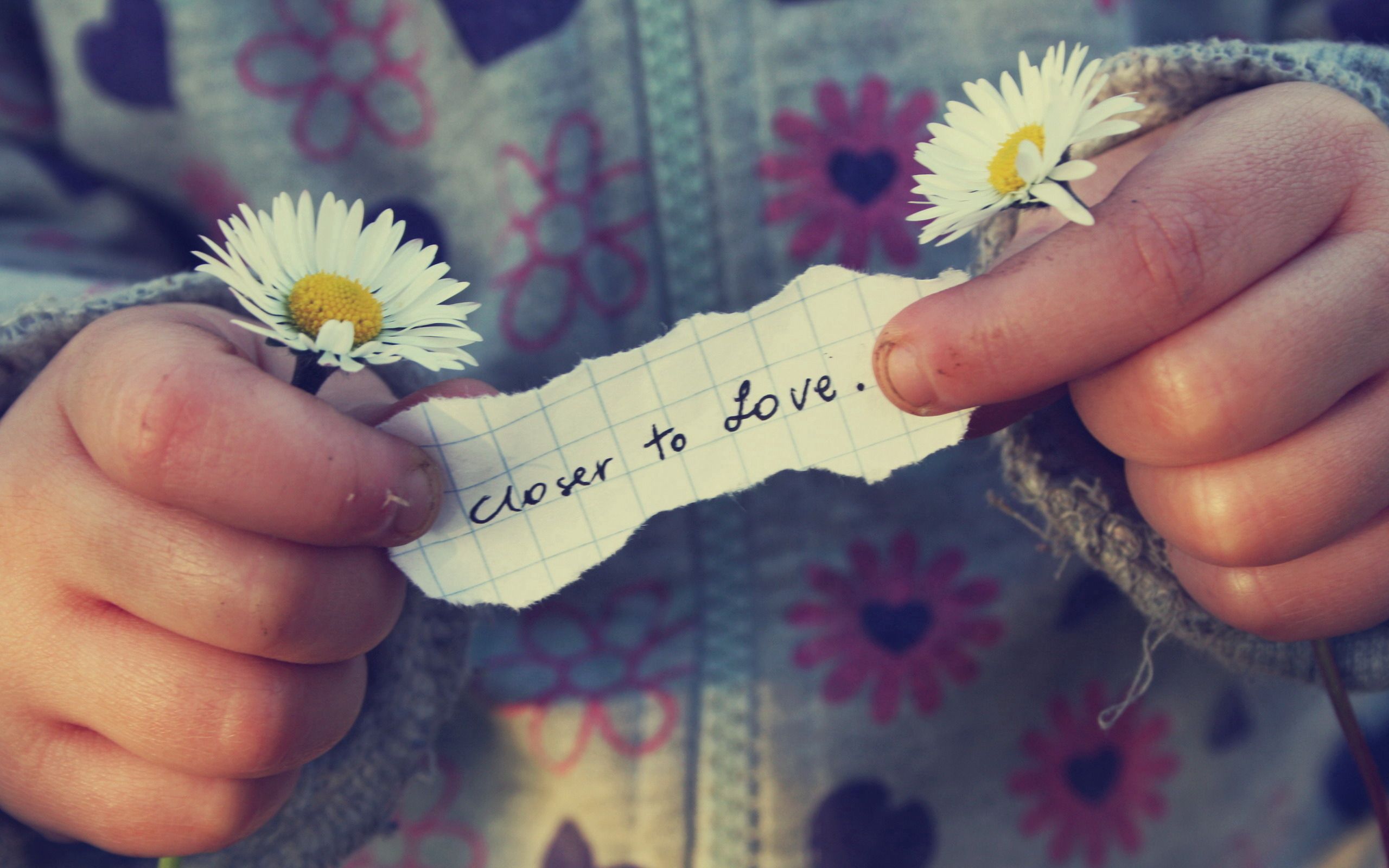 flowers, camomile, words, hands, note, child HD wallpaper