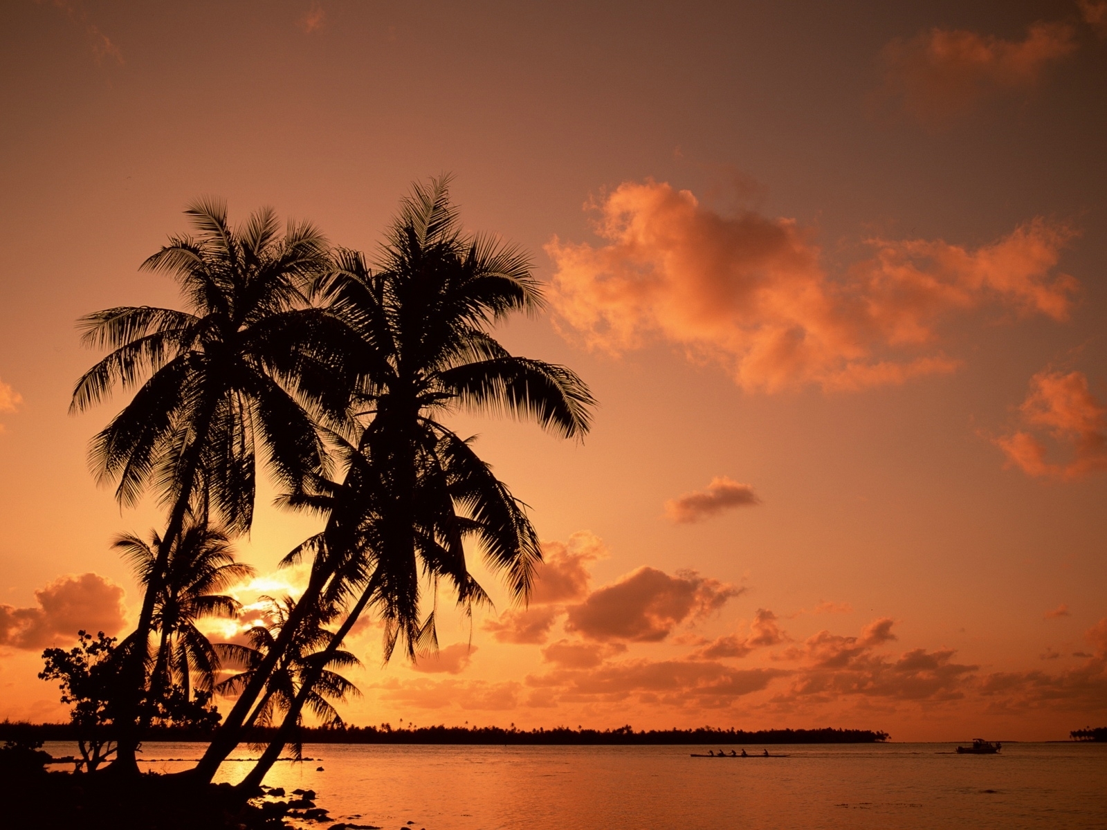 Free download wallpaper Landscape, Sunset, Sky, Sea, Trees, Palms on your PC desktop
