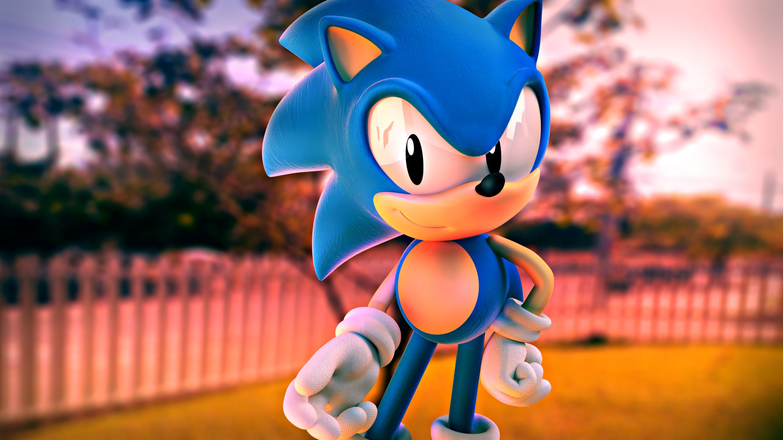 Sonic the Hedgehog серия