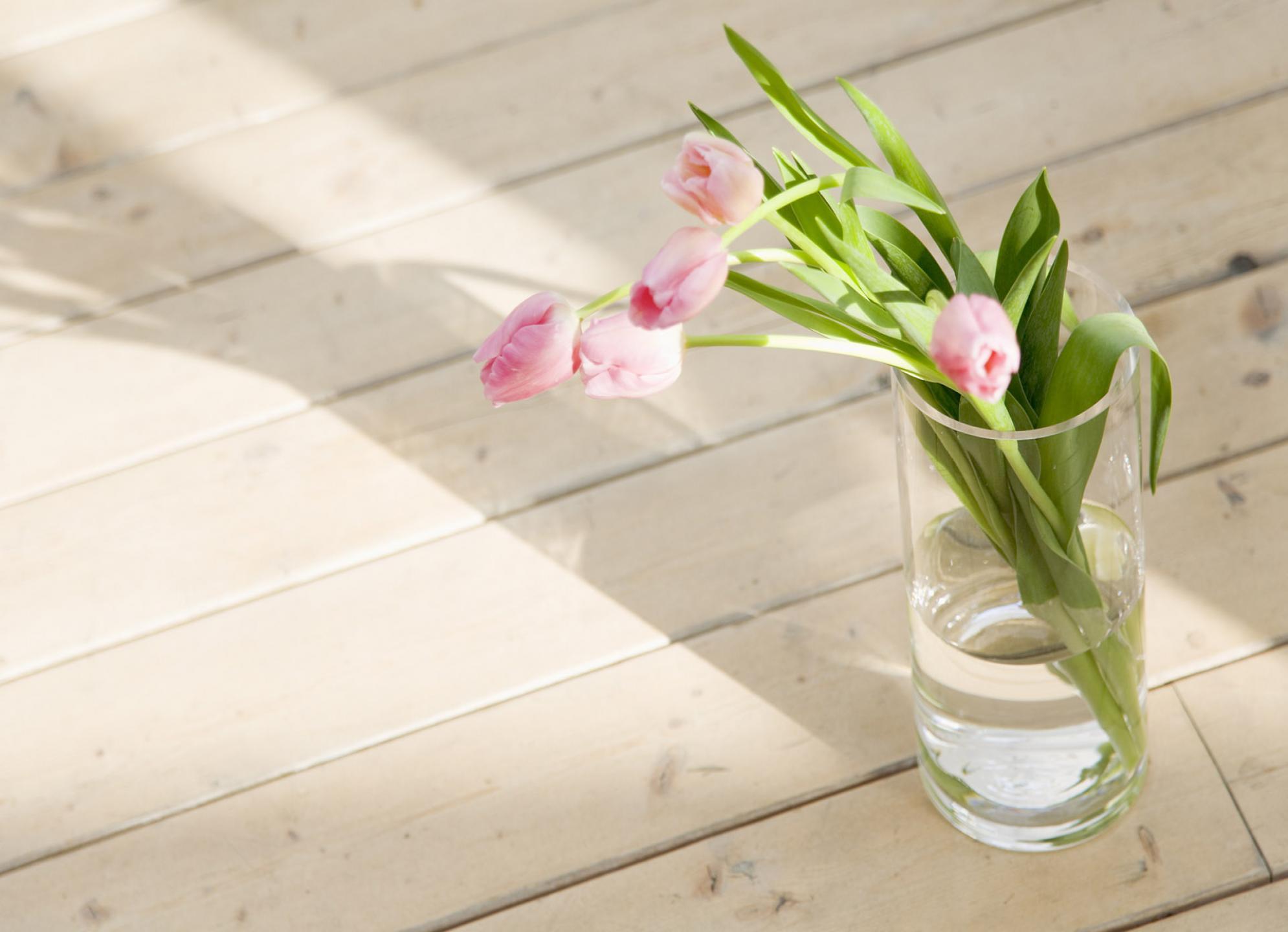 Что добавить в воду для цветов тюльпаны