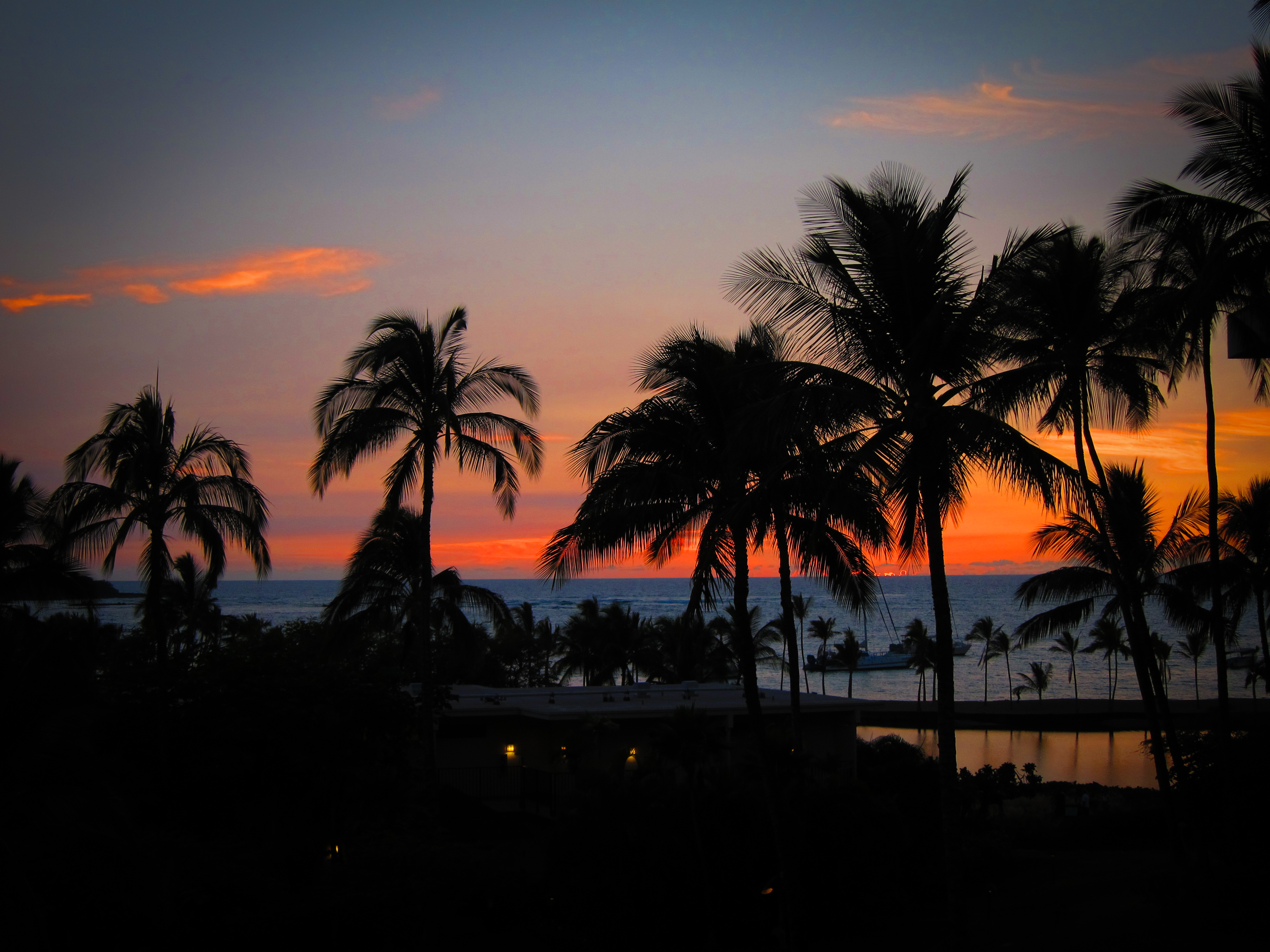 Скачать картинку Гавайи, Горизонт, Природа, Закат, Океан, Пальмы в телефон бесплатно.
