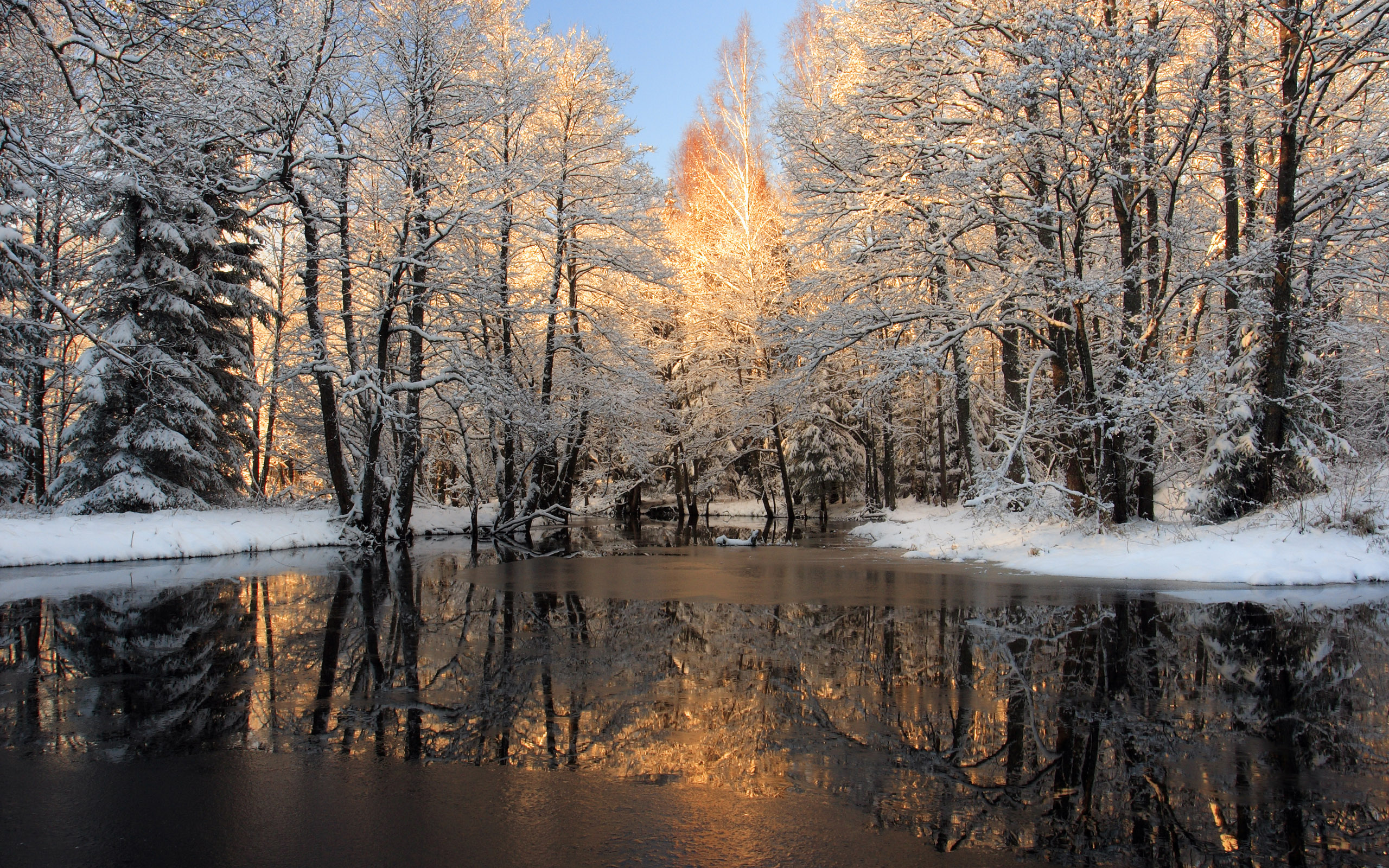 Природа ранняя зима
